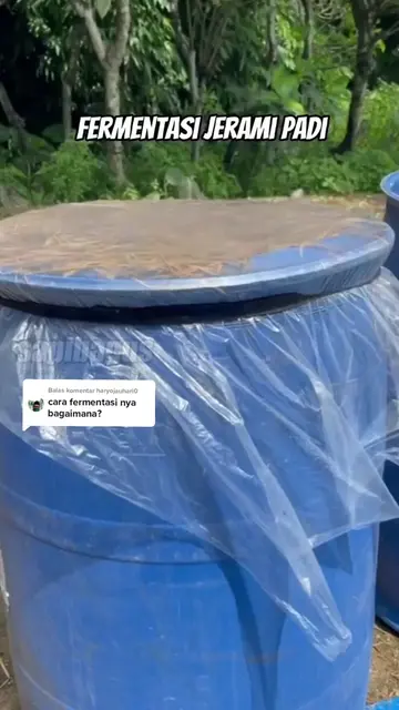 -Fermentasi-Jerami-Padi